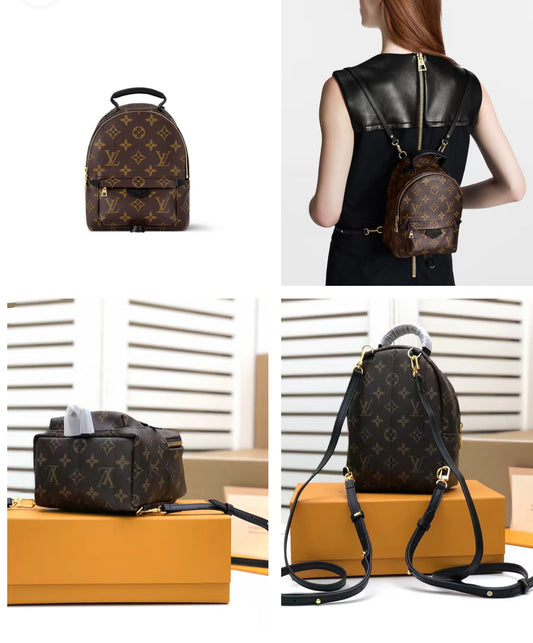 LV Palm Springs Mini Backpack